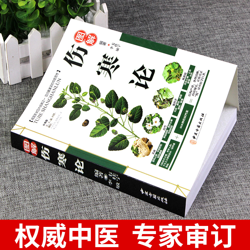 [醉染正版]全两册伤寒论张仲景正版倪海厦柴胡疏肝散大青龙汤桂枝汤中医书籍养生大全伤寒杂病论金匮要略外感热病治疗规律全注全高清大图