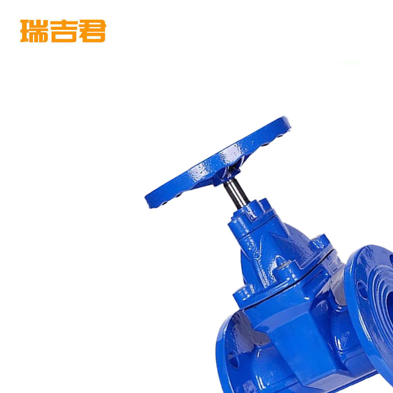瑞吉君 软密封闸阀 DN250 单位:个高清大图