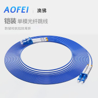 澳狒AOFEI 电信级铠装尾纤 单模双芯 光纤跳线LC-LC 1米 防鼠咬阻燃 1条