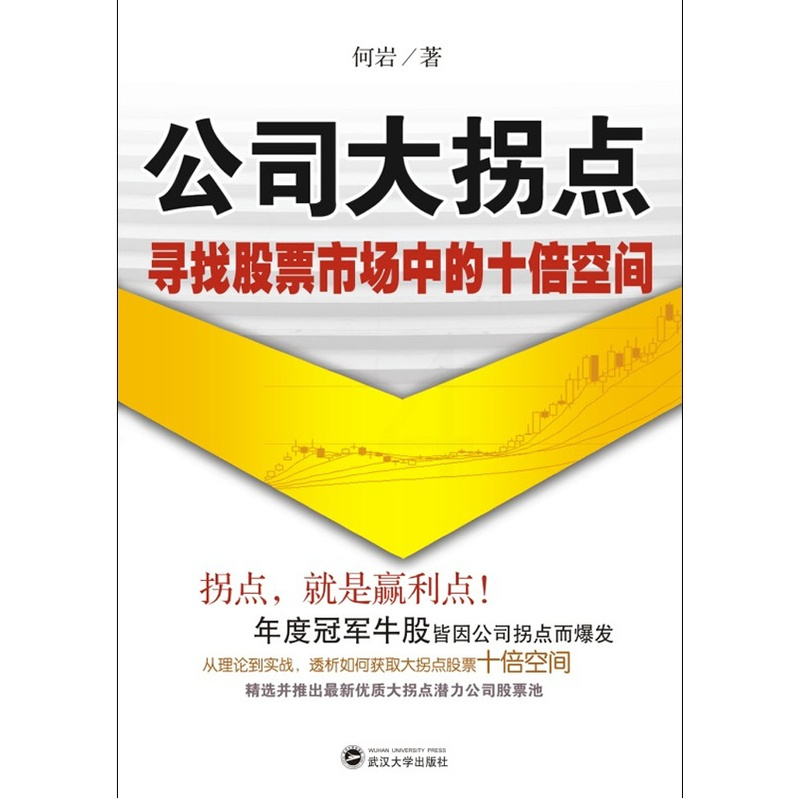 [正版]公司大拐点:寻找股票市场中的十倍空间