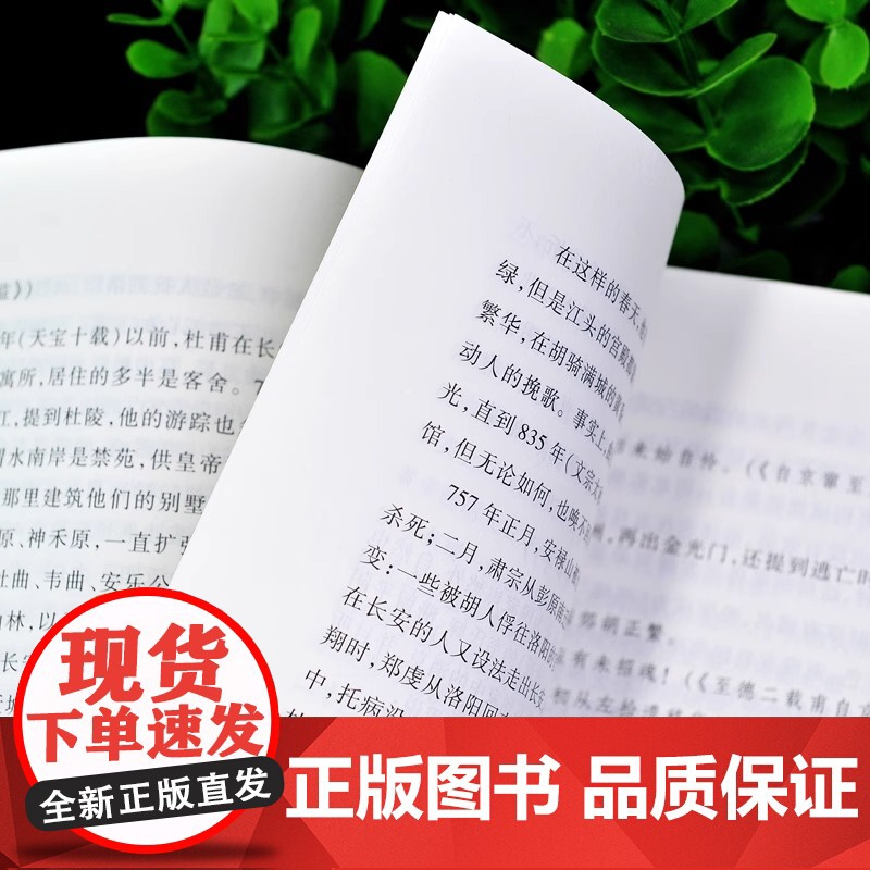 杜甫传 经典名著口碑版本 语文阅读丛书 青少年完整版 无删减 原著正版 人民文学出版社 四五六七八九年级 初中课外书文学高清大图