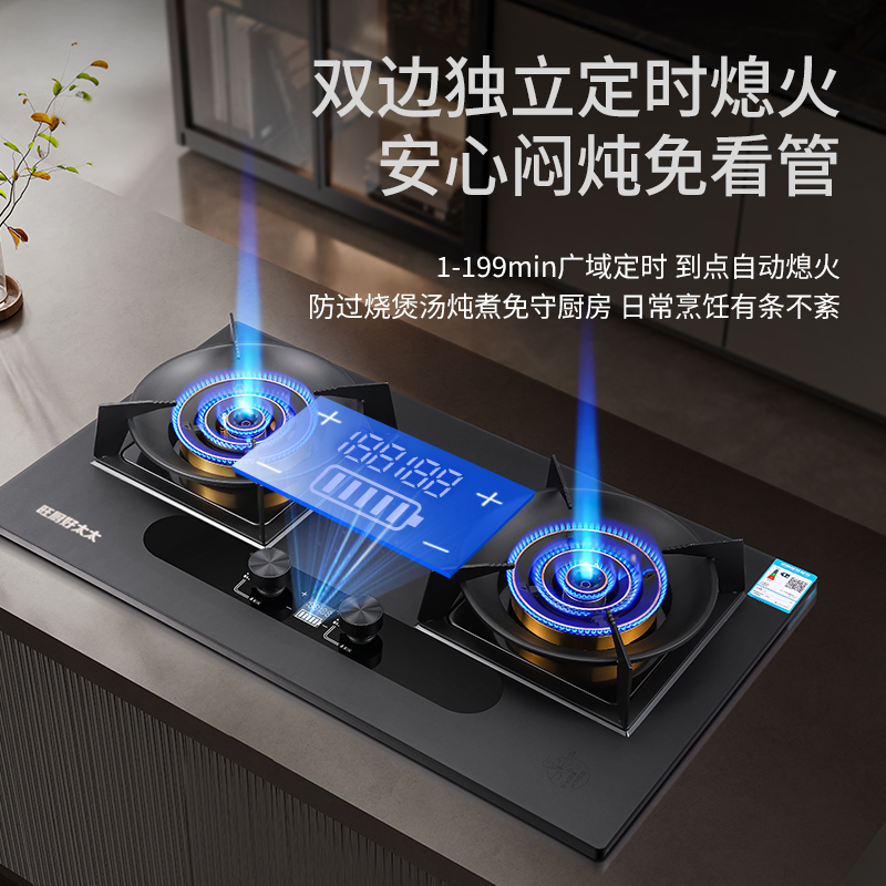 旺厨好太太 5.2KW磨砂直喷猛火灶 定时燃气灶家用炉灶 大火力煤气灶灶具双灶双眼灶液化气灶 打火灶企业价高清大图