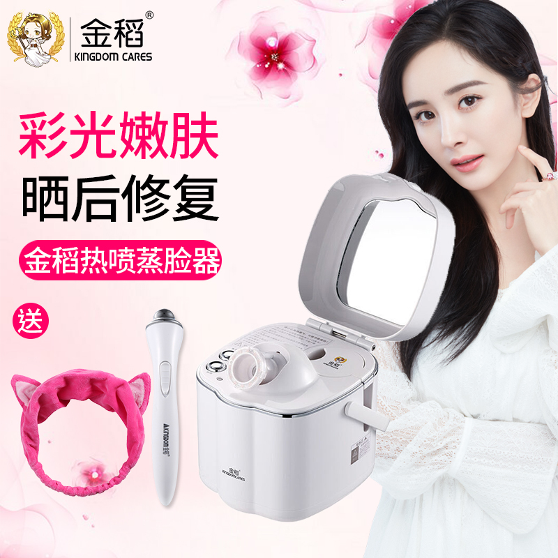 金稻(kingdom)彩光热喷蒸脸器 KD2332 彩光离子护肤 家用美容仪 脸部喷雾加湿器 蒸脸机
