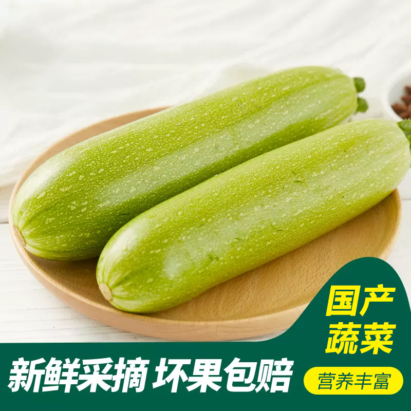 [西沛生鲜]新鲜西葫芦 净重3斤 净菜新鲜蔬菜配送青节瓜脆嫩茭瓜孕婴食材