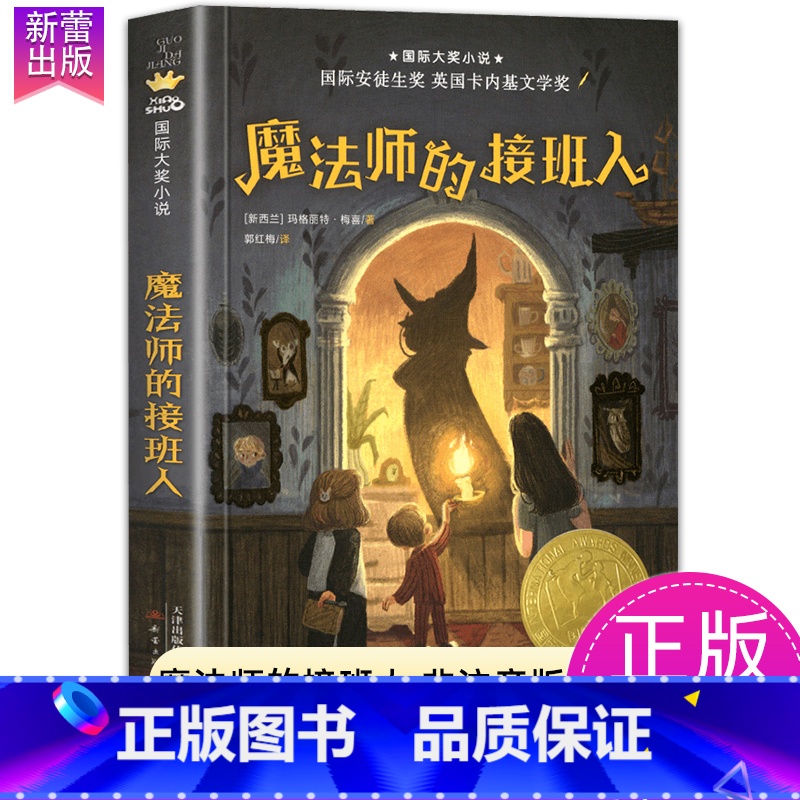 魔法师的接班人 【正版】一百条裙子国际大奖小说系列全套适合小学生四年级五六年级读物7-10-12岁青少年儿童文学成长励志