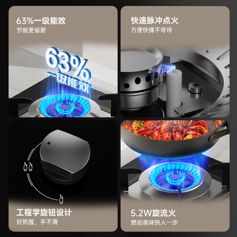 迅达DS503嵌入式单灶天然气高清大图