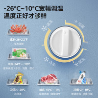 美的(Midea)300升商用冰柜冷柜展示柜小型冰箱冷冻柜雪糕饮料水果冷藏保鲜柜MS-305LGE