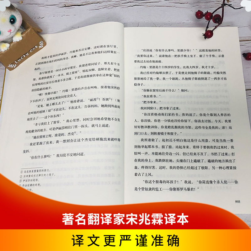 [正版]简爱书籍 夏洛蒂·勃朗特原著 名家名译中文版世界名著 中小学生课外书读物 初中生阅读文学名著高清大图