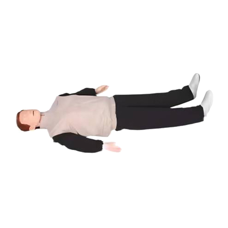 大卫 高级自动电脑心肺复苏模拟人 GD/CPR10300 单位:套高清大图