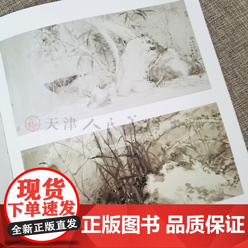 郑雅风 当代水墨画唯美新视界 /水墨花鸟画精品集/白描底稿画谱勾勒技法解析/国画花鸟水墨画临摹画册毛笔绘画入门基础教程高清大图