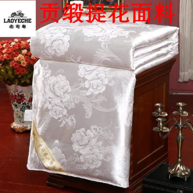 特价正品蚕丝被100%春秋被加厚冬被夏被空调被四季被单双人学生被