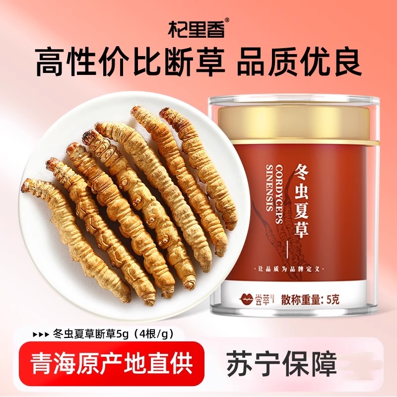 断草5g4根/g 杞里香青海冬虫夏草正品东虫草茶干货无礼盒装酒