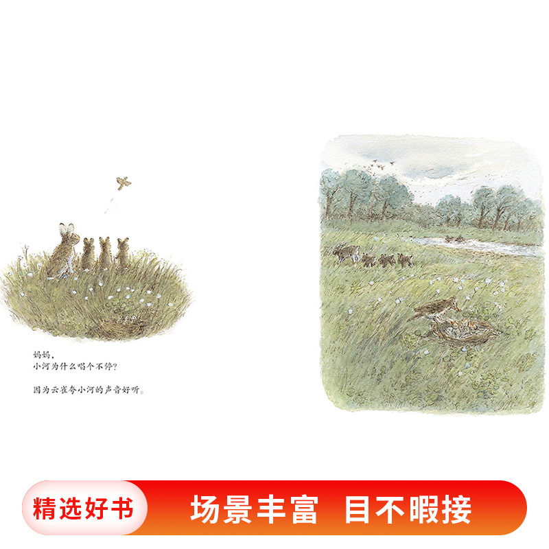 单本全册 [正版]妈妈为什么硬壳精装图画书蒲蒲兰绘本谷川俊太郎作品一本诗的绘本关于爱关于希望关于勇气关于未来4岁5岁6岁