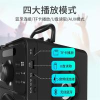 雅兰仕（EARISE） F10户外蓝牙音箱广场舞音响插卡无线低音炮u盘家用手提大功率小型收音机 黑色