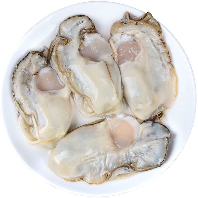 牡蠣殻 100袋 geocoach.co.jp