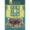 羊肚菌 玉蕈 鸡枞菌
