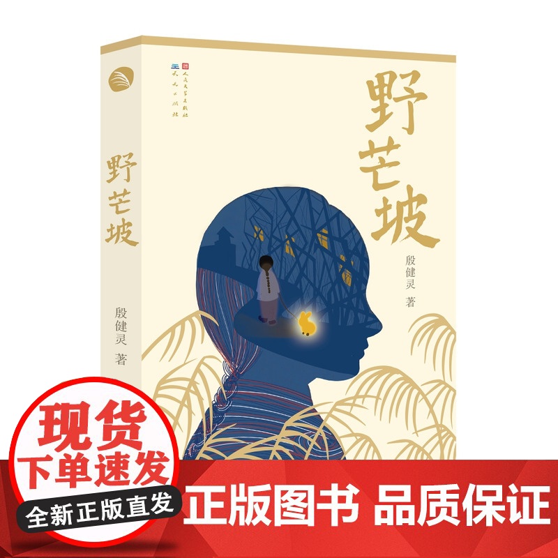 野芒坡 殷健灵儿童文学长篇力作 小学生课外书籍 男孩成长励志故事 寒暑假阅读书单