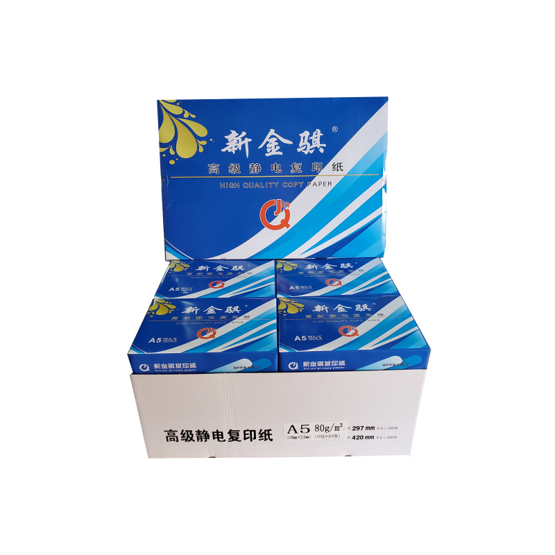 新金骐 蓝新金骐高级静电复印纸 80g复印纸白纸草稿纸 整箱 80g-A5-16包装(8000张