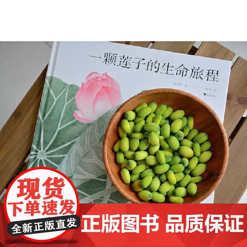 一颗莲子的生命旅程精装硬壳 以国画绘出莲的生命轮回国风情怀自然科普绘本 系统讲述莲文化和莲的科学知识 陈莹婷 浪花朵朵正高清大图