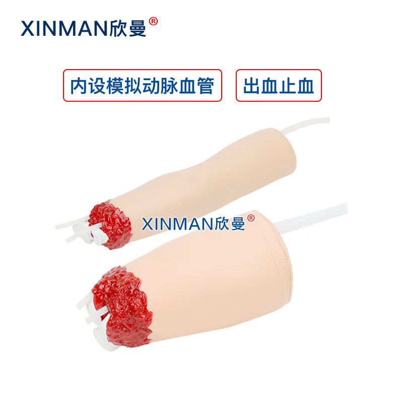 欣曼科教 上下肢外伤断肢包扎止血模型 控制出血手臂与大腿模型XM-H708高清大图