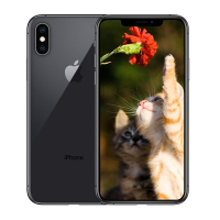 【全新正品行货】苹果(Apple) iPhone Xs 64GB 深空灰色 移动联通电信全网通4G手机 iphonexs 苹果手机