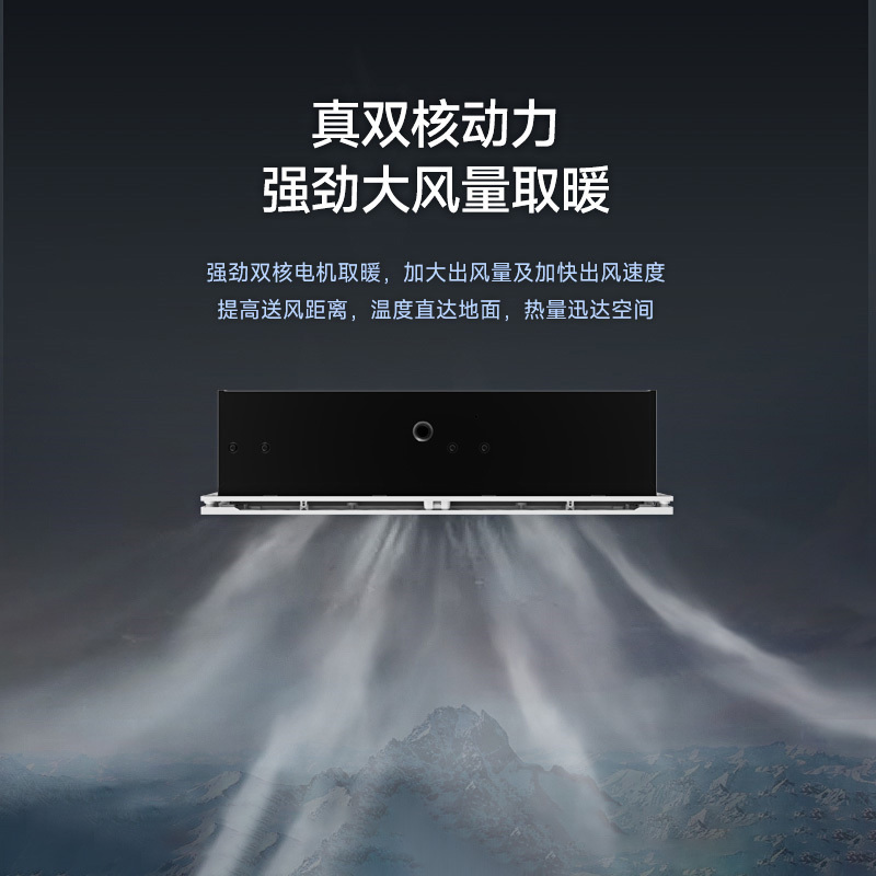 飞雕(FEIDIAO)新风风暖浴霸卫生间暖风机多功能浴室取暖一体式集吊普吊可用 耀60摆页款(浴霸需自行安装)