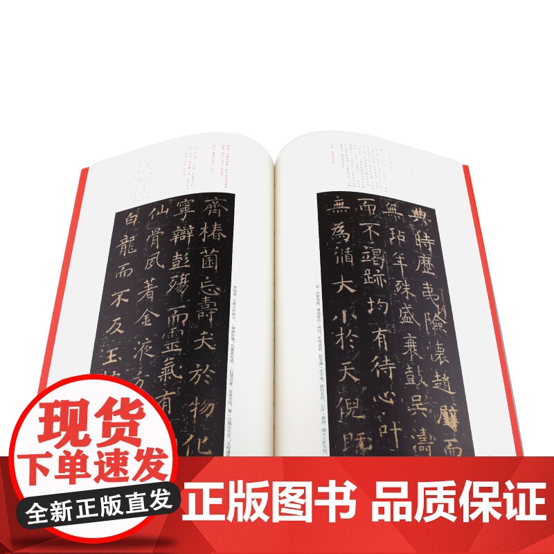 褚遂良孟法师碑 中国碑帖名品46大红袍系列碑帖释文注释繁体旁注历代优秀书法作品临摹字帖收藏鉴赏楷书毛笔字帖上海书画出版社高清大图