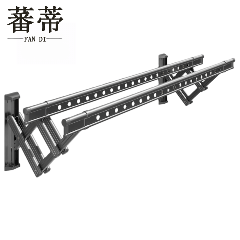 蕃蒂图片
