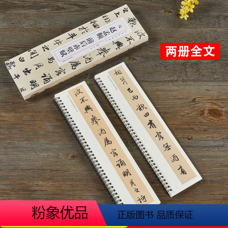 [正版]赵孟頫前后赤壁赋 元 经典碑帖近距离临摹卡 全2册 赵体行书书法毛笔字帖原帖简体旁注 安徽美术出版社
