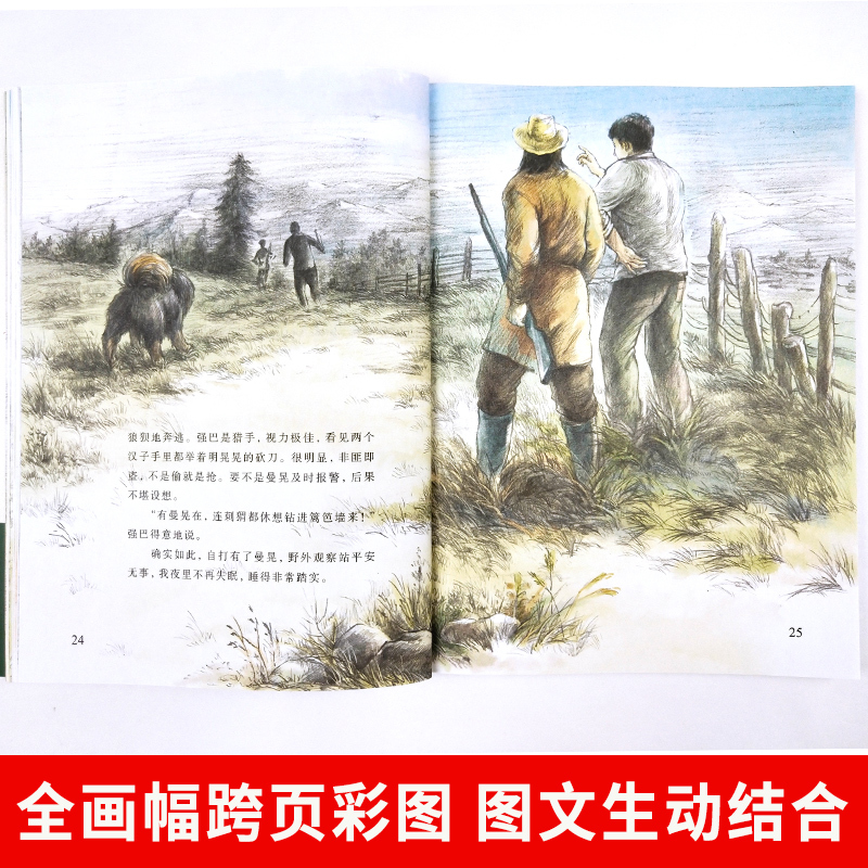 疤脸狮王 [正版]沈石溪系列画本中外动物小说大王经典品藏书系列后一头战象斑羚飞渡第七条猎狗红奶羊白象家族小学生四五六年级