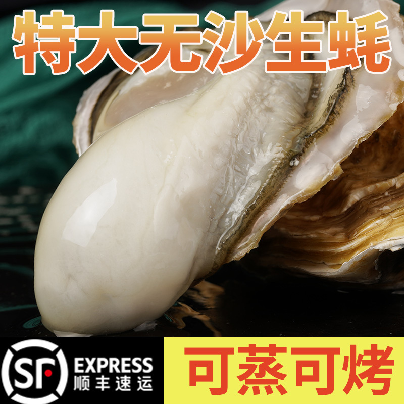 蚝范儿乳山生蚝3-4鲜活5斤牡蛎活鲜海蛎子带箱新鲜海鲜