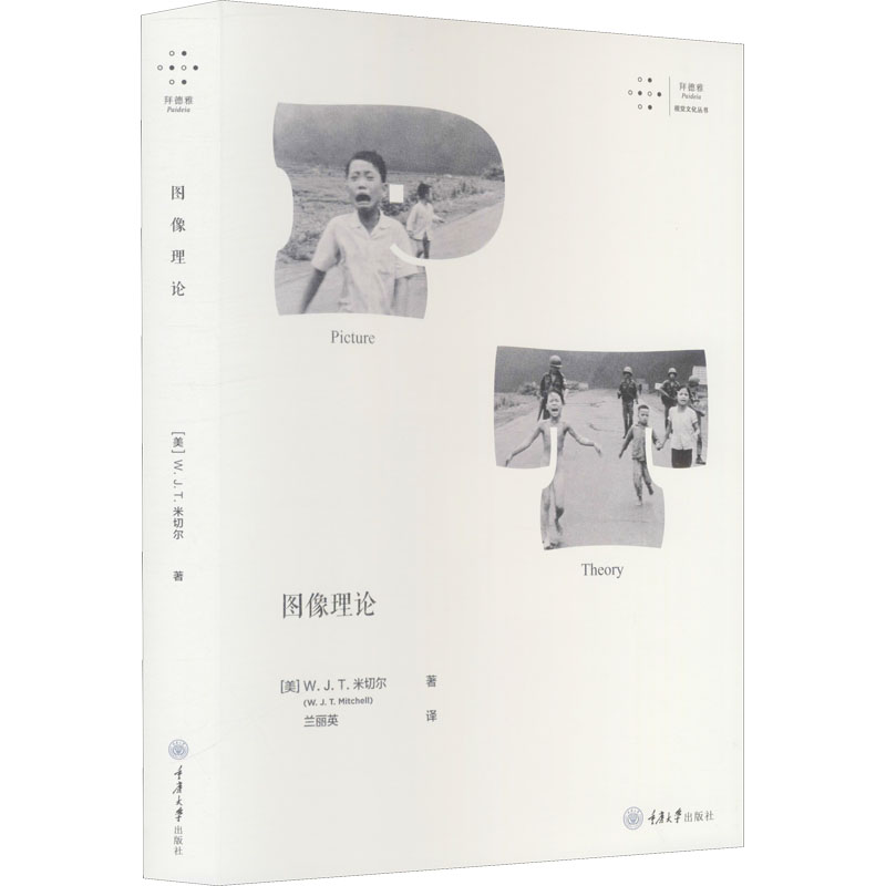 醉染图书图像理论9787568926737高清大图