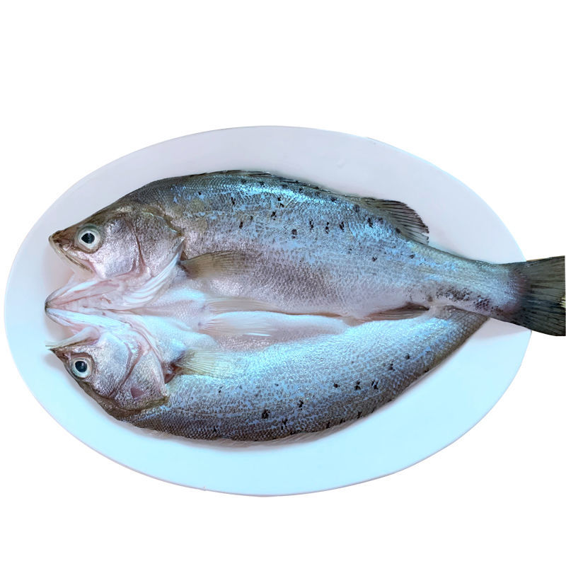 赛卡伊 [ 七星海鲈鱼鲜活新鲜调味腌制开背海鲈鱼海鲜水产冷冻批发