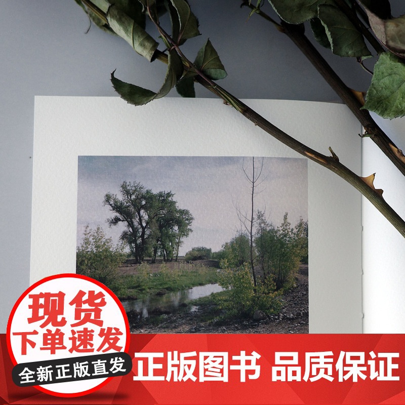 [央视网]穿过尘世闪耀的光 艺术的发生 Art Can Help 罗伯特 亚当斯 人文 艺术 社会和自然的摄影艺术评论高清大图