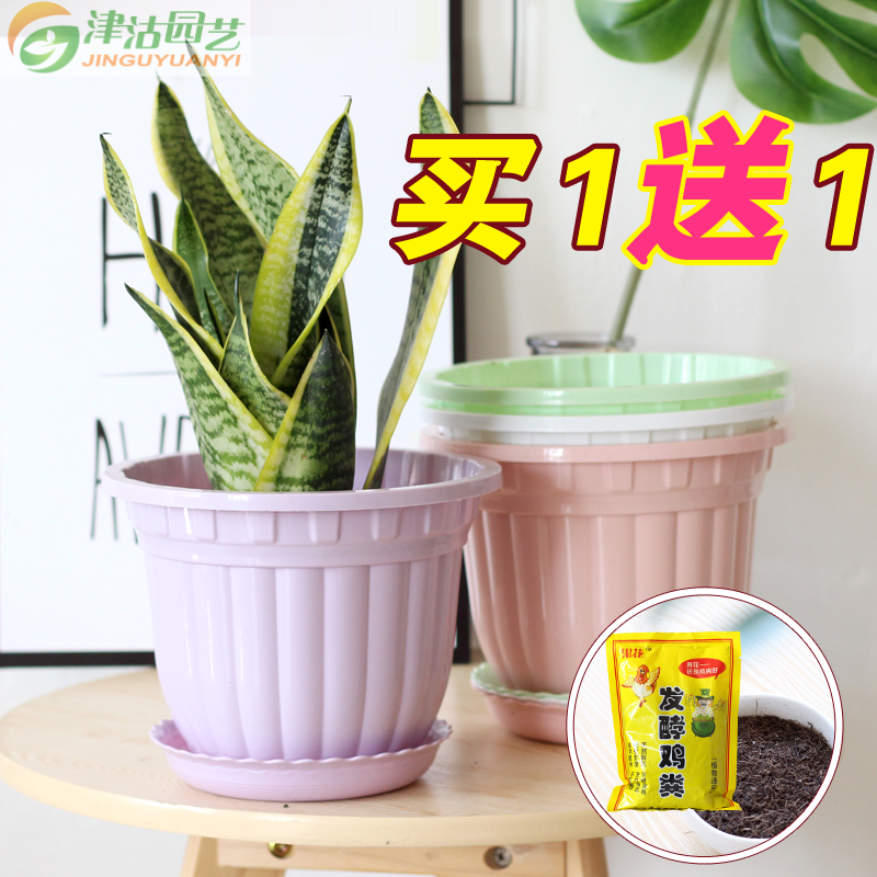 津沽园艺园艺用品绿萝吊兰花盆圆形塑料花盆中国风宜家种花种菜紫罗兰210 165报价 参数 图片 视频 怎么样 问答 苏宁易购