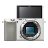 索尼(SONY)ILCE A6100(18-200mm LE)白色 数码微单相机 单镜头套装 约2420万像素