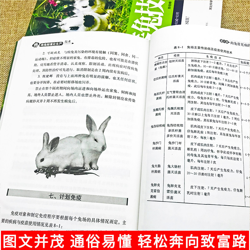 [正版]2册养殖技术书肉兔标准化生产技术高效养兔技术科学饲养管理农业畜牧实用手册兔病防治鉴别诊断图谱治疗全书动物营养高清大图