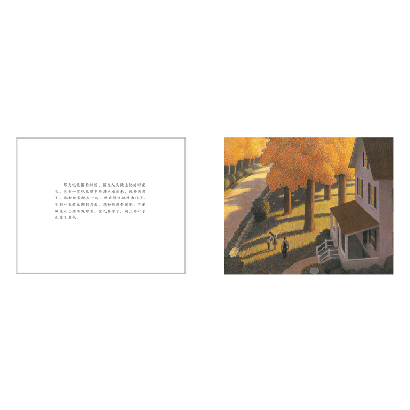 正版新书]陌生人(美)范奥尔伯格 著,宋珮 译9787543473751图片