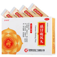 昆中药 感冒疏风丸(水蜜丸)6g*12袋 风寒感冒 发热咳嗽 头痛怕冷 鼻流清涕 骨节酸痛 四肢疲倦