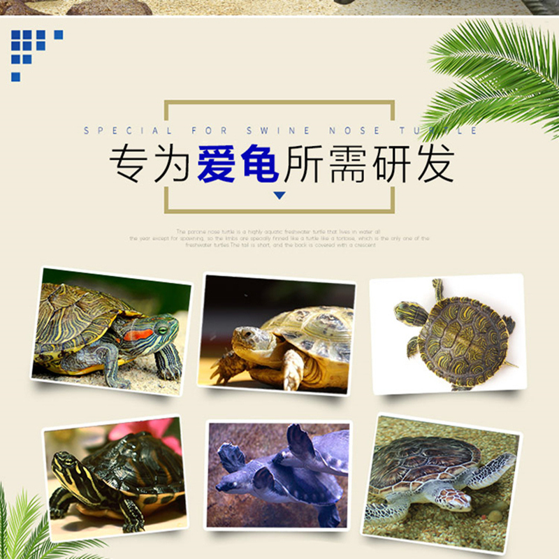 头侧颈乌龟饲料猪鼻子龟深水锯缘龟粮食高营养下沉型沉底不浑水高清大图