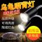 乌龟全光谱 爬宠陆龟蜥蜴太阳灯加热灯泡加温保温补钙
