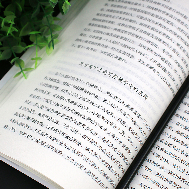 [正版] 沉思录 马克奥勒留外国哲学世界名著为人处世智慧人生哲学西方哲学道德情操论古罗马皇帝奥勒留灵性思考智慧之书高清大图