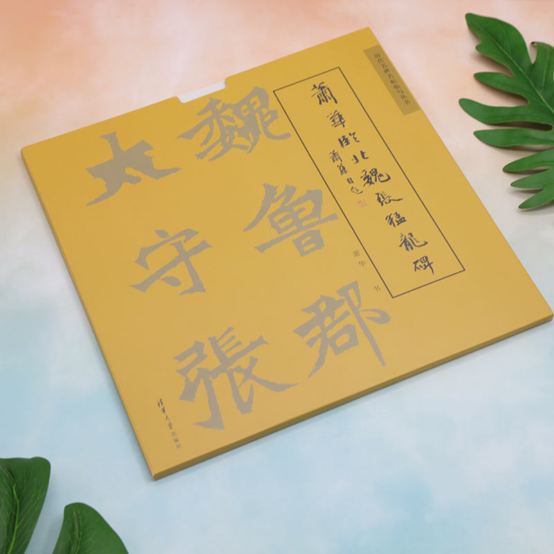醉染图书萧华临北魏张猛龙碑9787302532446高清大图