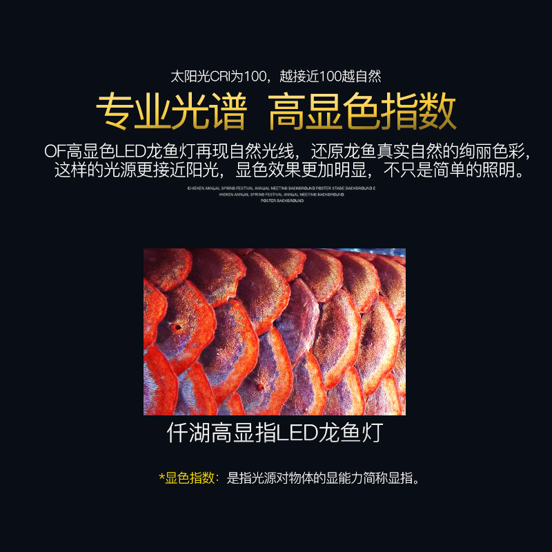 仟湖龙鱼专用led潜水灯防水日光灯鱼缸灯红龙金龙鹦鹉鱼增色灯高清大图