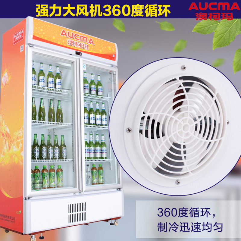 澳柯玛(Aucma)SC-609 609L冷柜商用展示柜立式陈列柜冷藏柜冷藏保鲜柜啤酒饮料柜双开门
