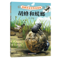 破解昆虫世界的秘密——胡蜂和蜣螂