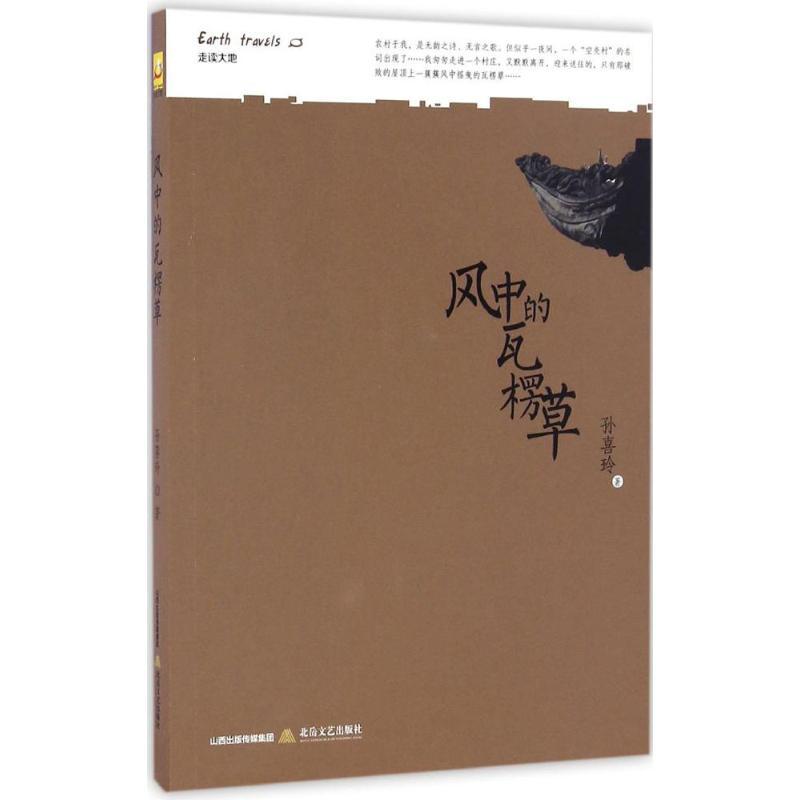 风中的瓦楞草 孙喜玲 著 文学 文轩网