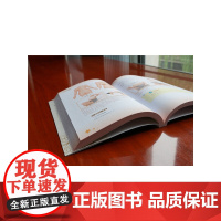 拍打经络通 身上百病消正版书籍