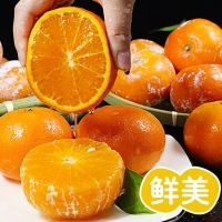 (挂树上的‘芬达’)五个农民广西武鸣茂谷柑9斤精选A级70-80mm+特大果礼盒装新鲜水果自营生鲜柑橘应季整箱
