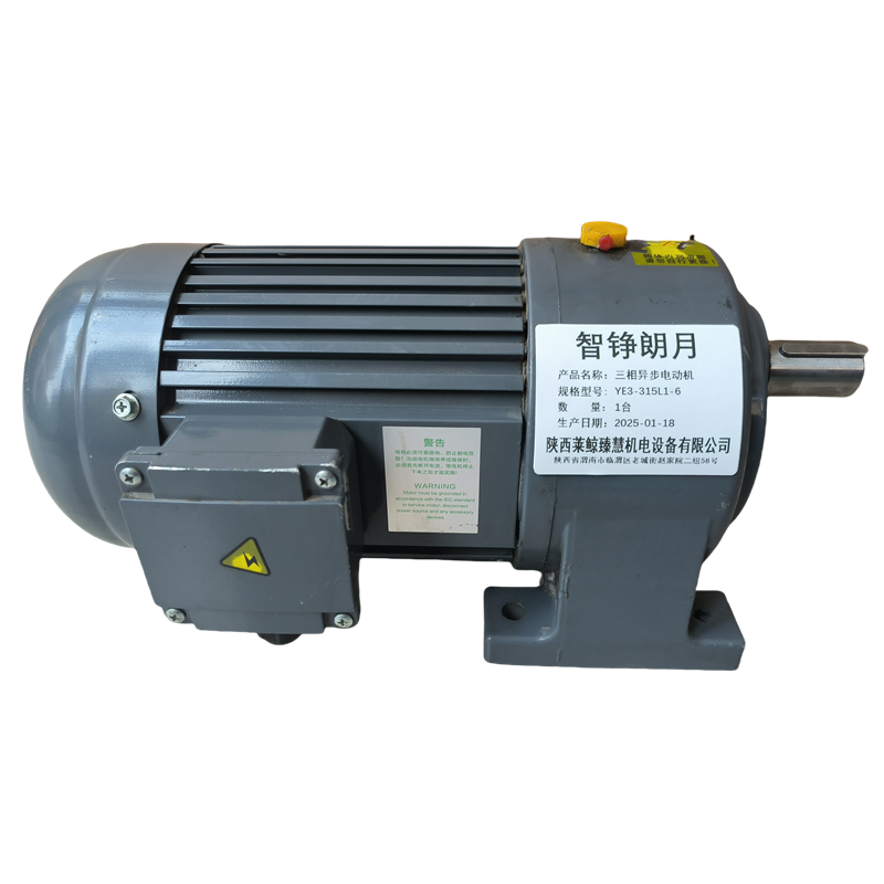 智铮朗月 三相异步电动机 YE3-315L1-6 台高清大图